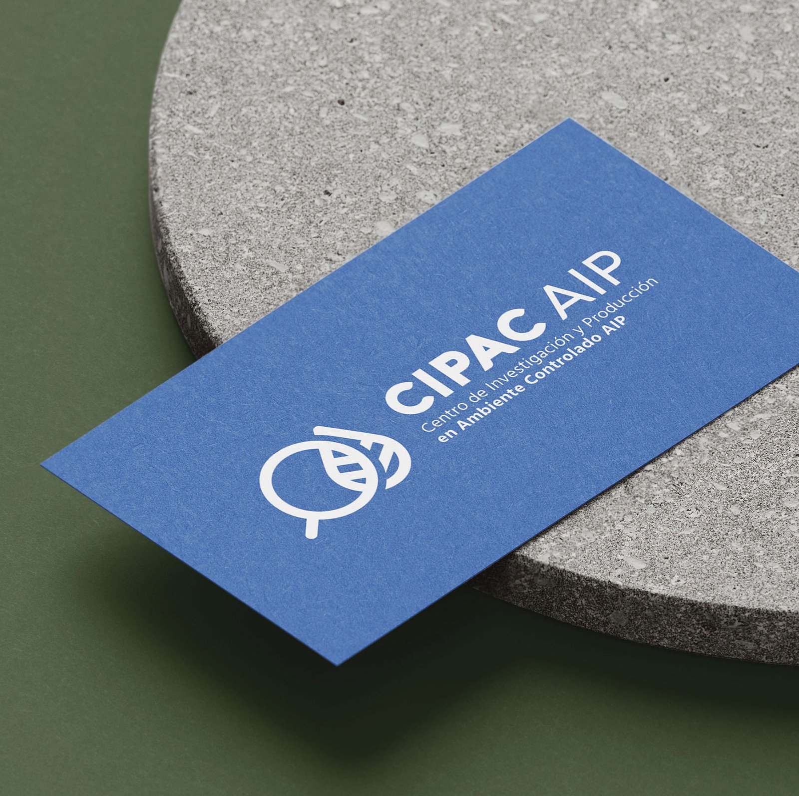 Karina Castillo | Diseñadora Gráfica branding 04 cipac