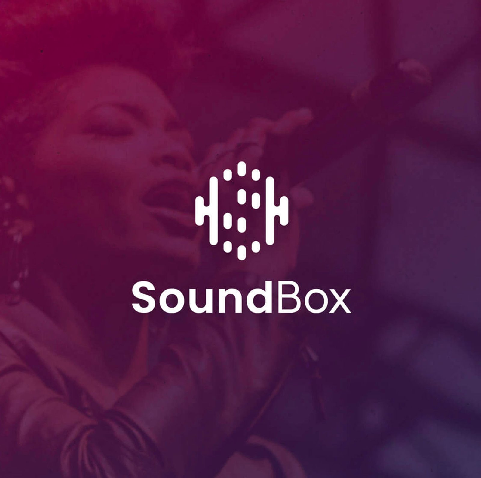 Karina Castillo | Diseñadora Gráfica branding 05 soundbox