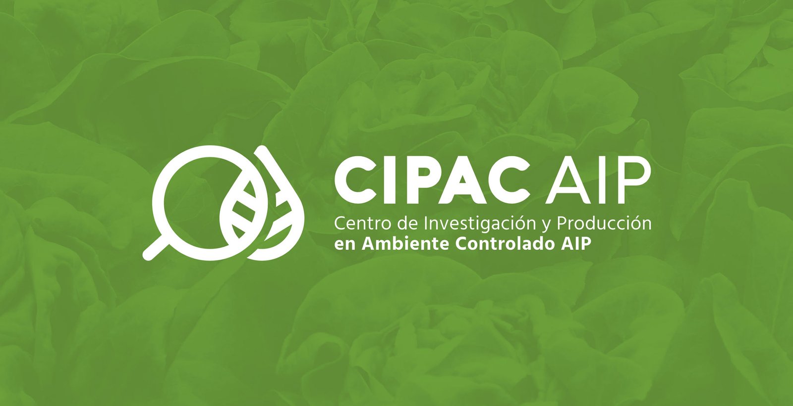 cipac 10