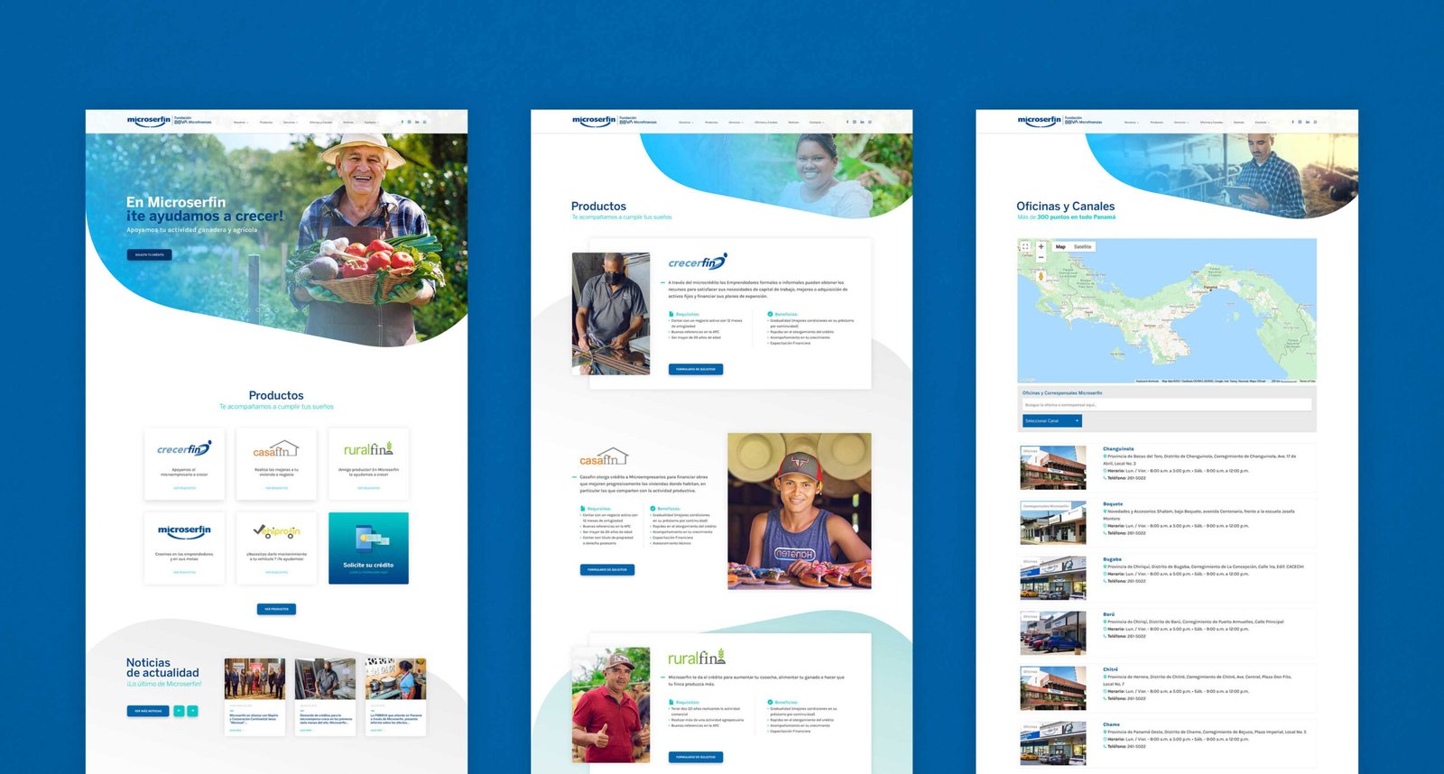 Microserfin 02 Scaled