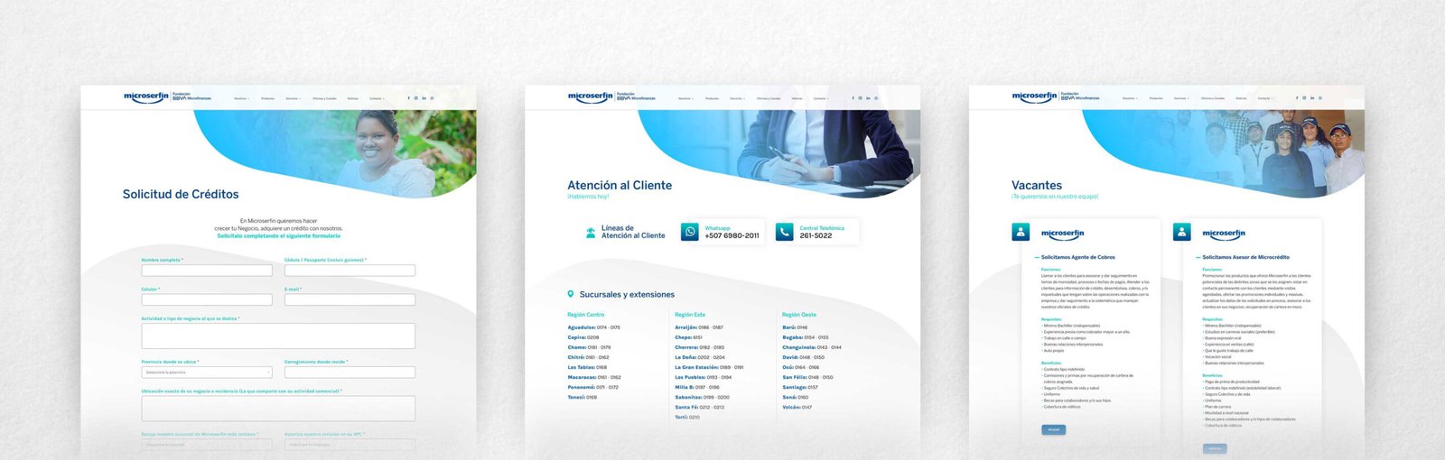 Microserfin 05 Scaled